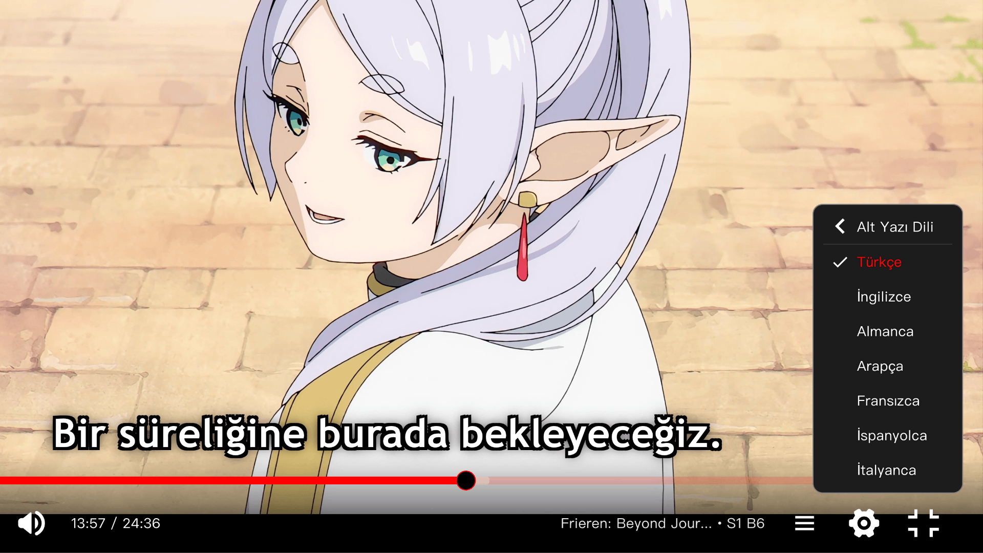 Çoklu altyazı dil seçenekleri
